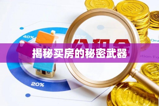 铁力揭秘买房的秘密武器