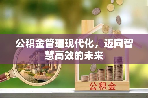 铁力公积金管理现代化，迈向智慧高效的未来