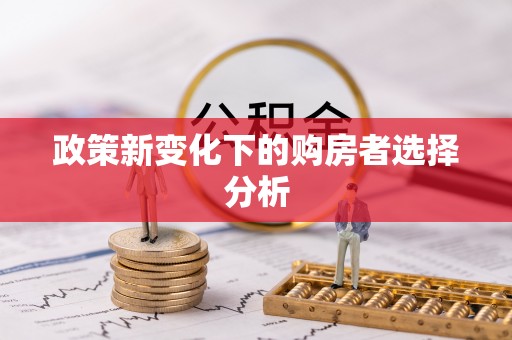 铁力政策新变化下的购房者选择分析