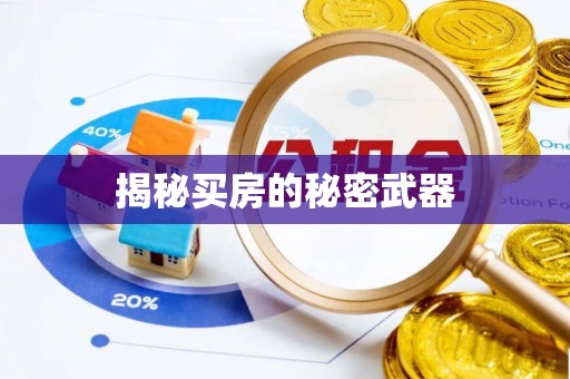 铁力揭秘买房的秘密武器