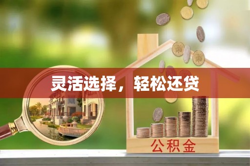 铁力灵活选择，轻松还贷