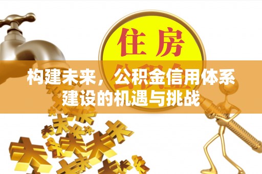 铁力构建未来，公积金信用体系建设的机遇与挑战