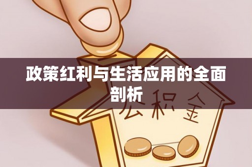 铁力政策红利与生活应用的全面剖析